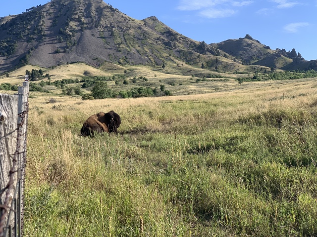 2020-08-12-Sturgis-10-Bear-Butte-bike-ride.JPG