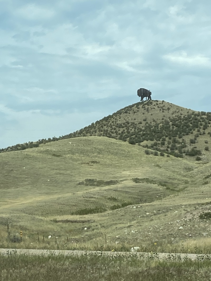 2020/08(August)/South-Dakota-Sturgis/2020-08-05-Sturgis-01-The-Chip.JPG