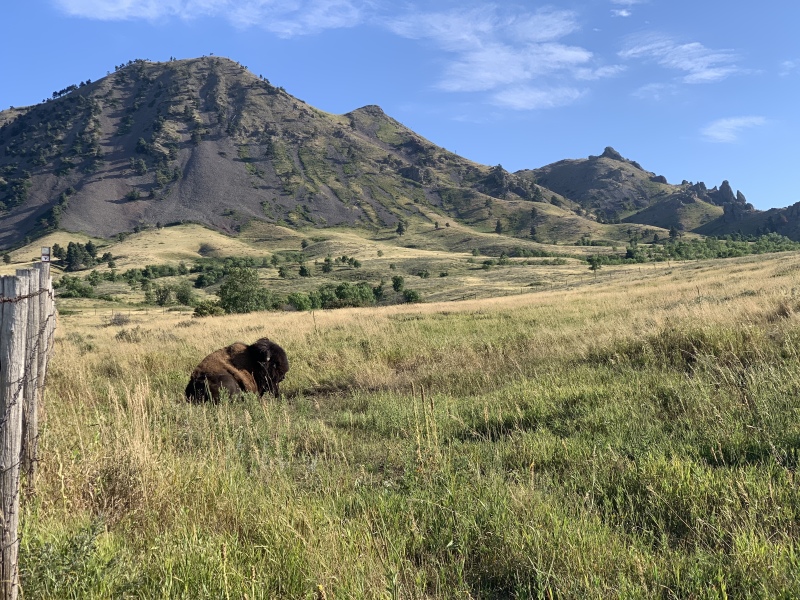 2020-08-12-Sturgis-13-Bear-Butte-bike-ride.JPG
