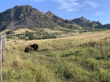 2020-08-12-Sturgis-12-Bear-Butte-bike-ride.JPG