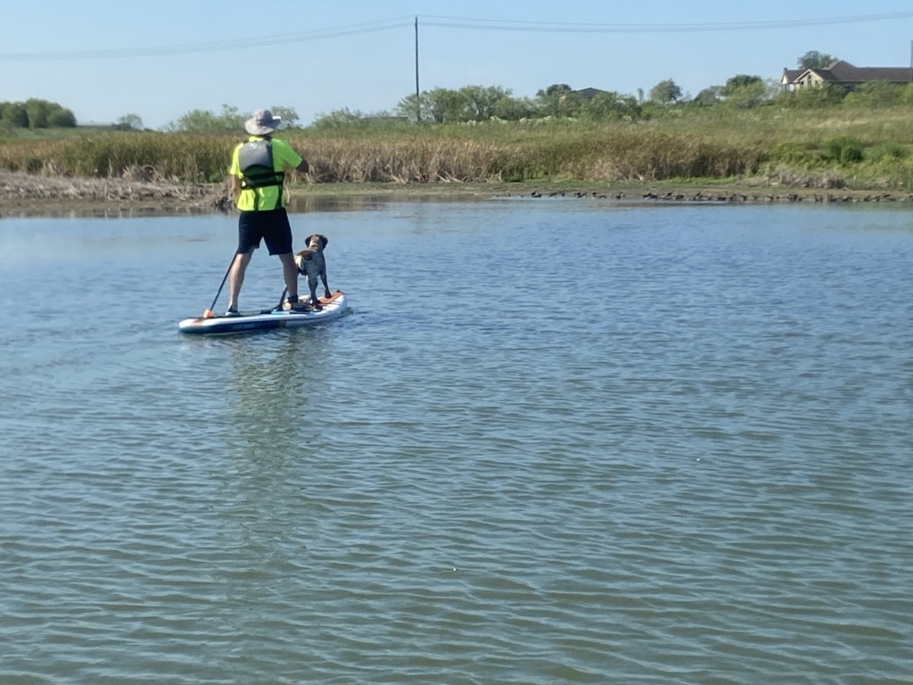 2020/09(September)/SUP-Lookout-HOA-lake/1024x768_2020-09-07-SUP-Lookout-HOA-6-Travis-Blaze.JPG