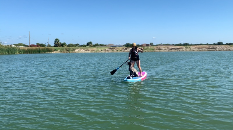 2020/09(September)/SUP-Lookout-HOA-lake/800x600_2020-09-13-SUP-Lookout-HOA-07-Suzi-Blaze.JPG