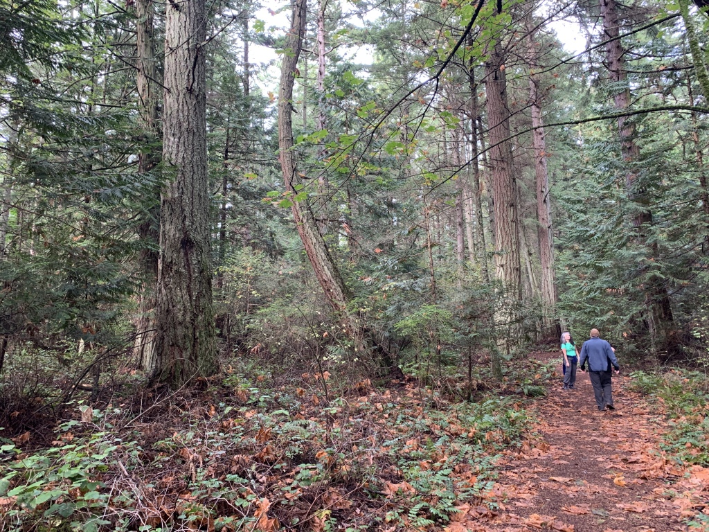 2020/10(October)/Lummi-Island-Kris-Bill-Sager-Washington-State/1024x768_2020-10-10-Lummi-Island-WA-14-Suzi-Bill.JPG