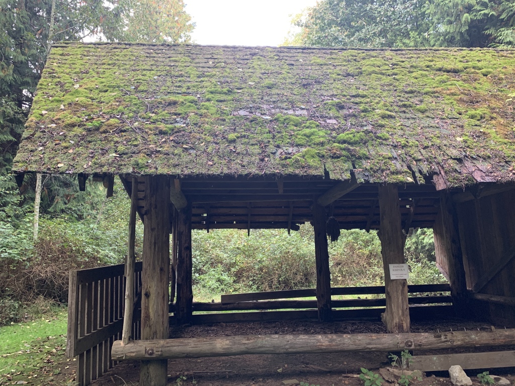 2020/10(October)/Lummi-Island-Kris-Bill-Sager-Washington-State/1024x768_2020-10-10-Lummi-Island-WA-45.JPG