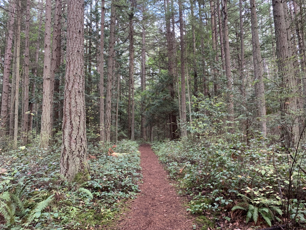 2020/10(October)/Lummi-Island-Kris-Bill-Sager-Washington-State/1024x768_2020-10-10-Lummi-Island-WA-54.JPG