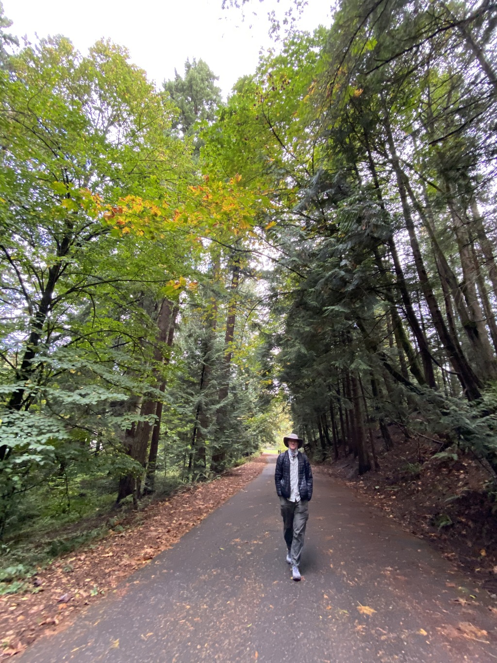 2020/10(October)/Lummi-Island-Kris-Bill-Sager-Washington-State/1024x768_2020-10-12-Lummi-Island-WA-005-Whatcom-Falls-Park-Travis.JPG