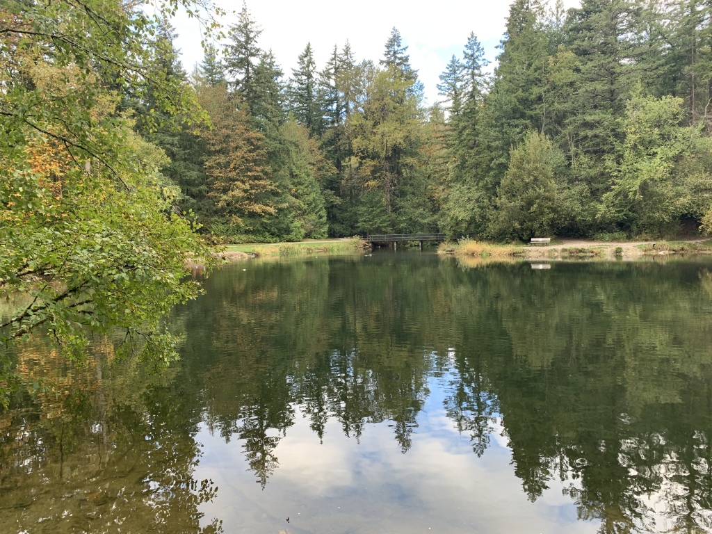 2020/10(October)/Lummi-Island-Kris-Bill-Sager-Washington-State/1024x768_2020-10-12-Lummi-Island-WA-006-Whatcom-Falls-Park.JPG