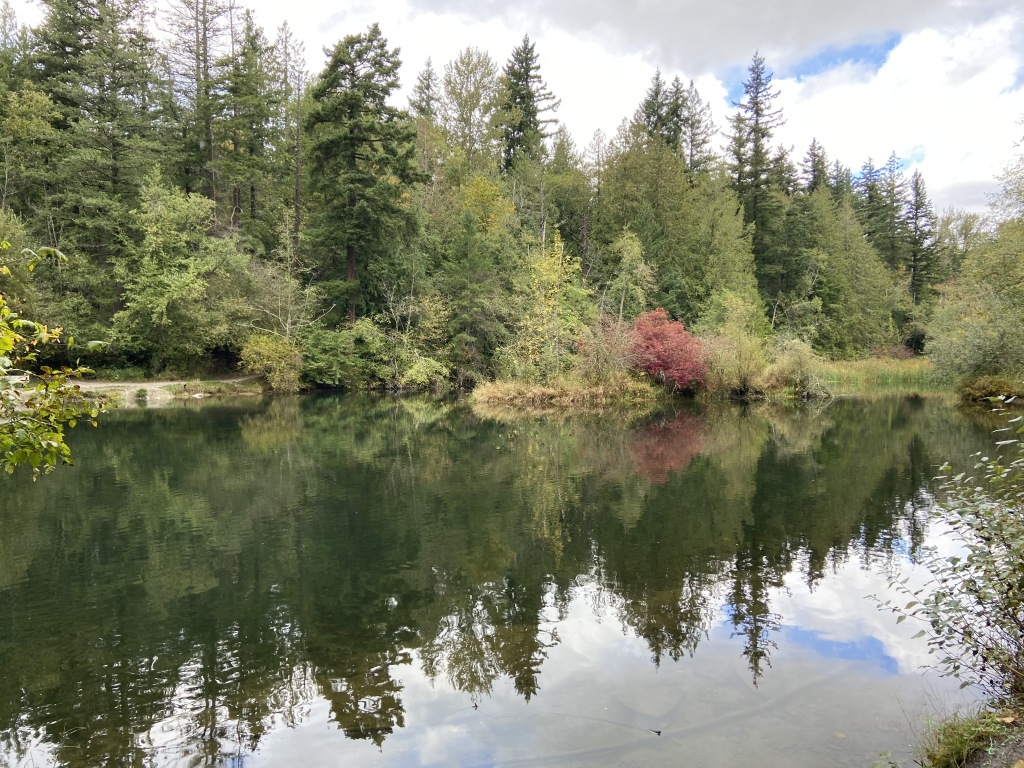 2020/10(October)/Lummi-Island-Kris-Bill-Sager-Washington-State/1024x768_2020-10-12-Lummi-Island-WA-008-Whatcom-Falls-Park.JPG
