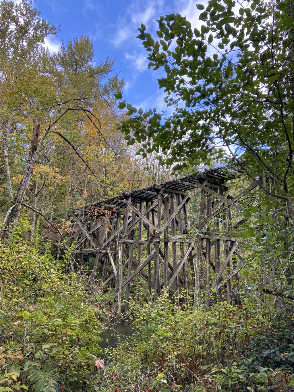 2020/10(October)/Lummi-Island-Kris-Bill-Sager-Washington-State/1024x768_2020-10-12-Lummi-Island-WA-012-Whatcom-Falls-Park.JPG