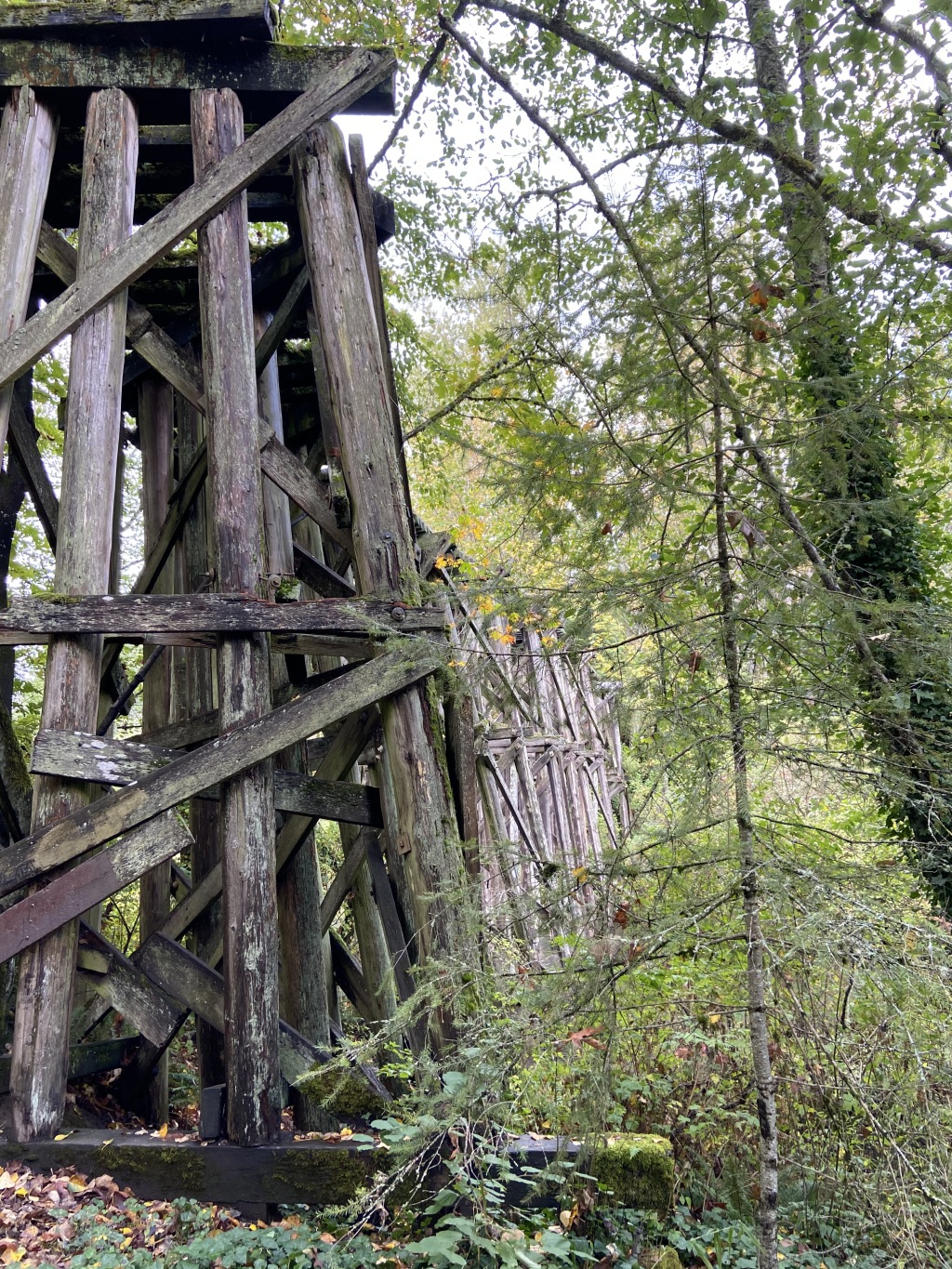 2020/10(October)/Lummi-Island-Kris-Bill-Sager-Washington-State/1024x768_2020-10-12-Lummi-Island-WA-016-Whatcom-Falls-Park.JPG