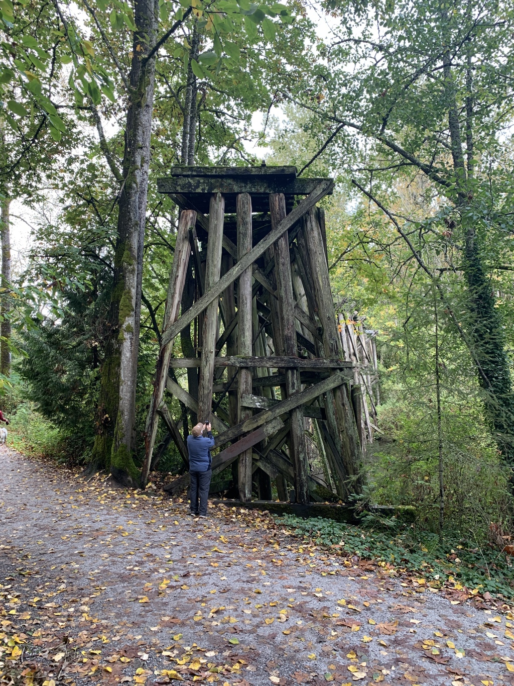 2020/10(October)/Lummi-Island-Kris-Bill-Sager-Washington-State/1024x768_2020-10-12-Lummi-Island-WA-017-Whatcom-Falls-Park-Bill.JPG