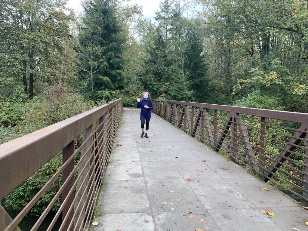 2020/10(October)/Lummi-Island-Kris-Bill-Sager-Washington-State/1024x768_2020-10-12-Lummi-Island-WA-020-Whatcom-Falls-Park-Suzi.JPG