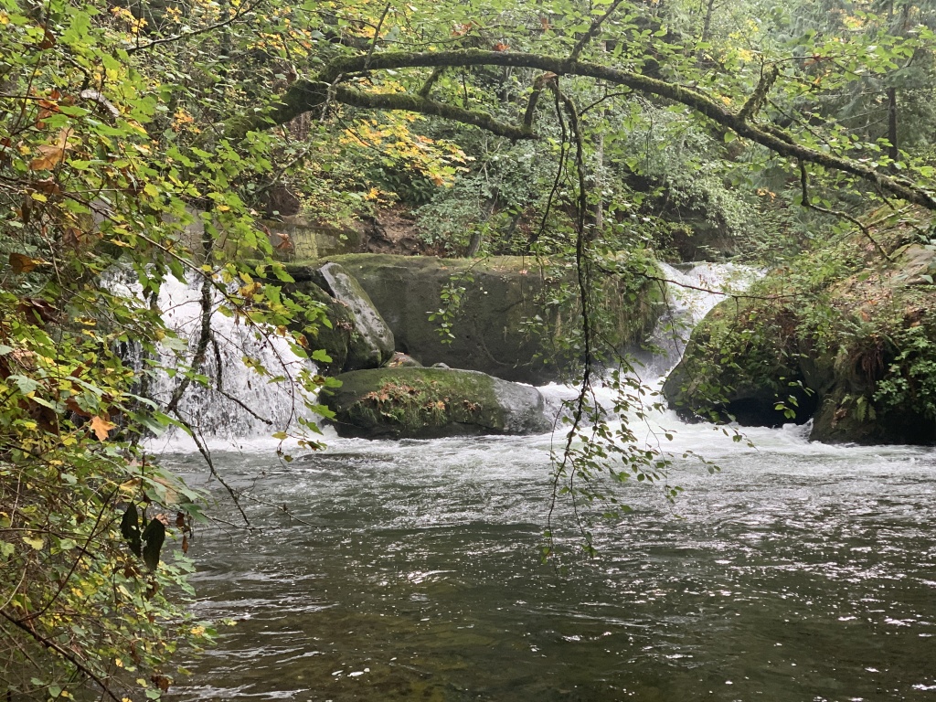 2020/10(October)/Lummi-Island-Kris-Bill-Sager-Washington-State/1024x768_2020-10-12-Lummi-Island-WA-039-Whatcom-Falls-Park.JPG