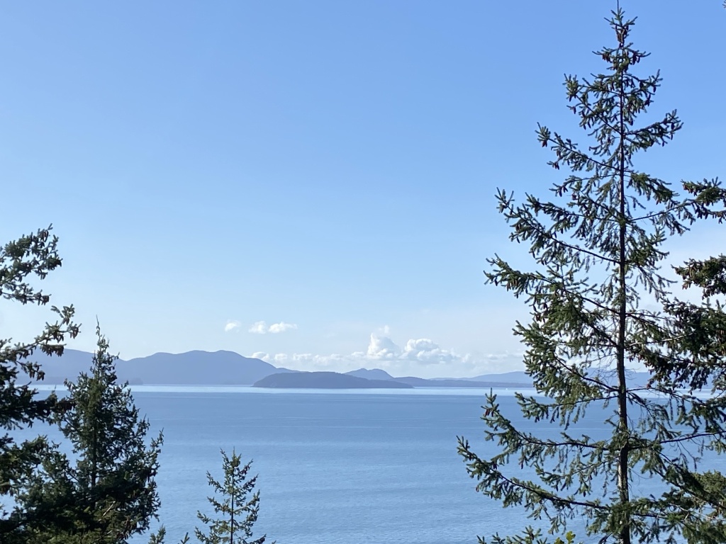 2020/10(October)/Lummi-Island-Kris-Bill-Sager-Washington-State/1024x768_2020-10-12-Lummi-Island-WA-061.JPG