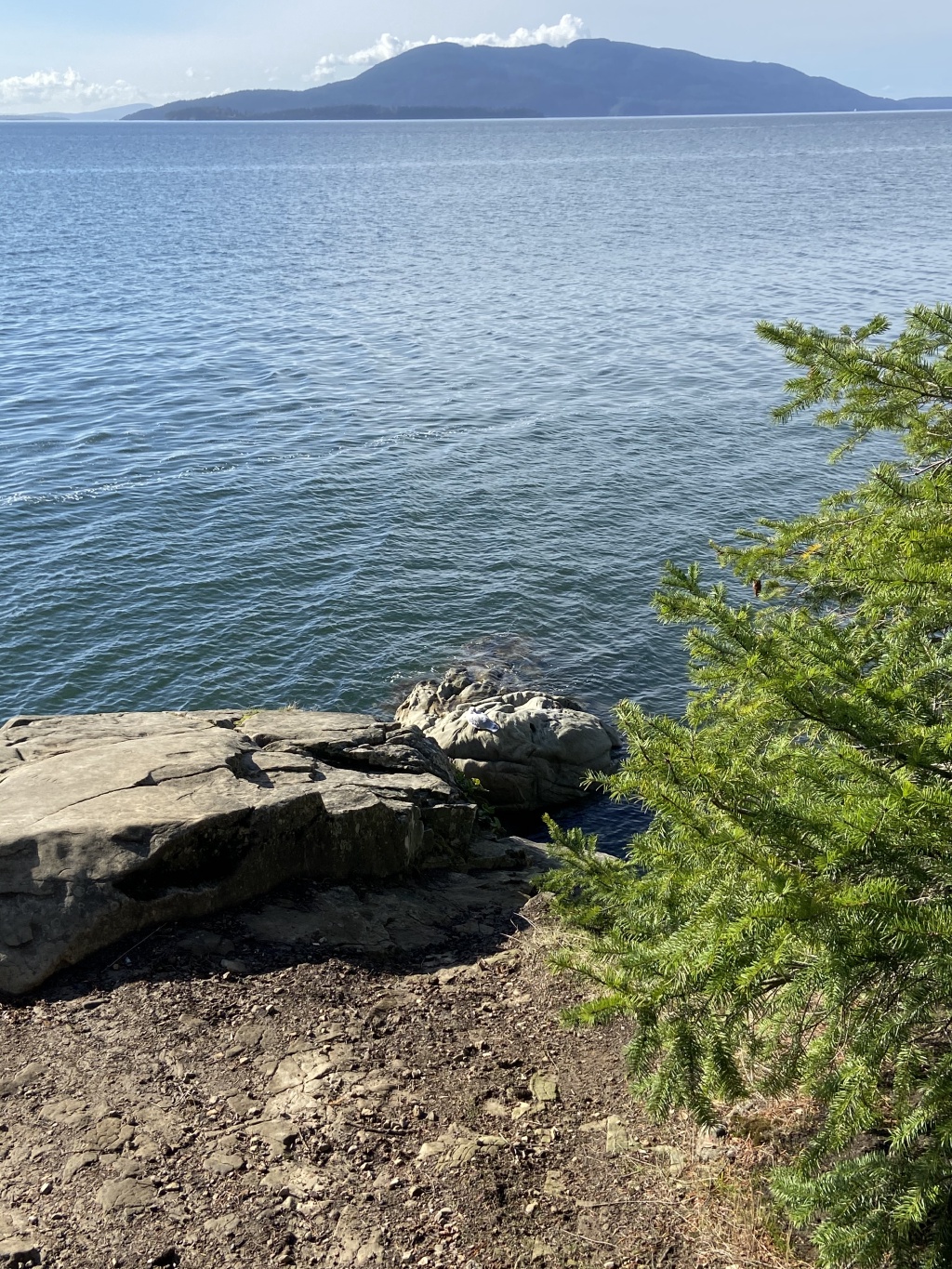 2020/10(October)/Lummi-Island-Kris-Bill-Sager-Washington-State/1024x768_2020-10-12-Lummi-Island-WA-074-Larabee-State-Park.JPG