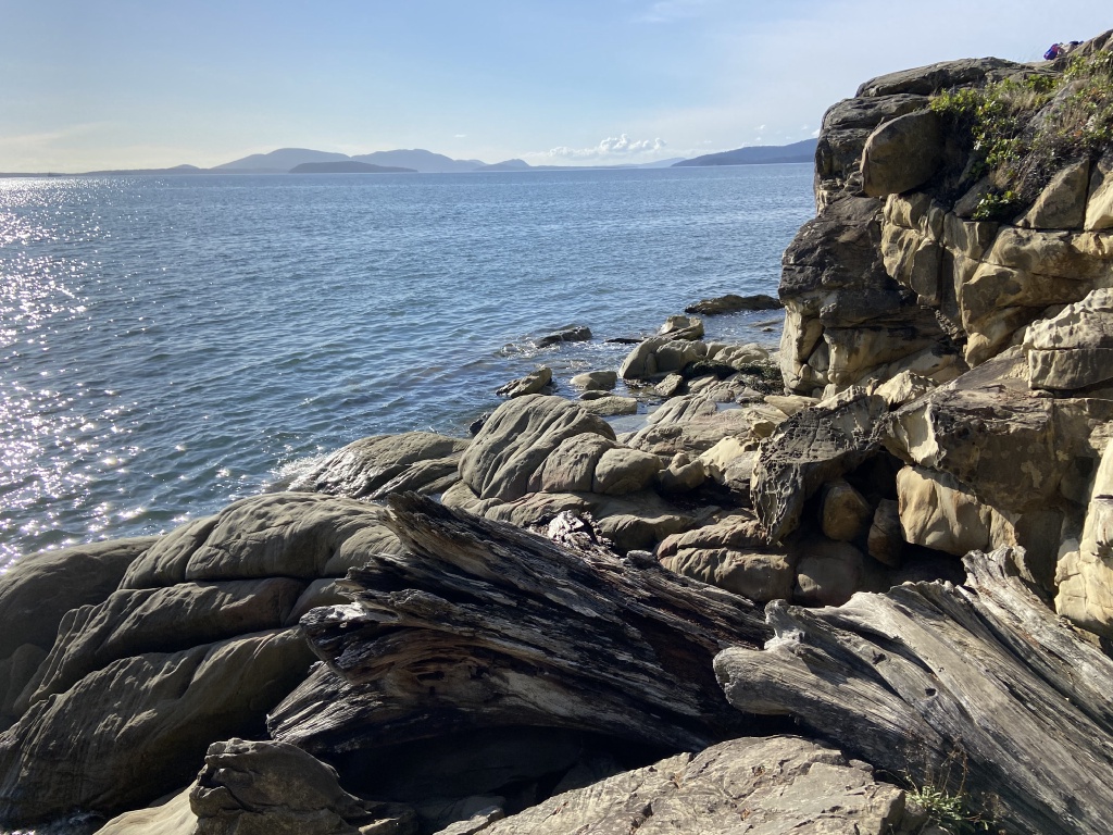 2020/10(October)/Lummi-Island-Kris-Bill-Sager-Washington-State/1024x768_2020-10-12-Lummi-Island-WA-077-Larabee-State-Park.JPG