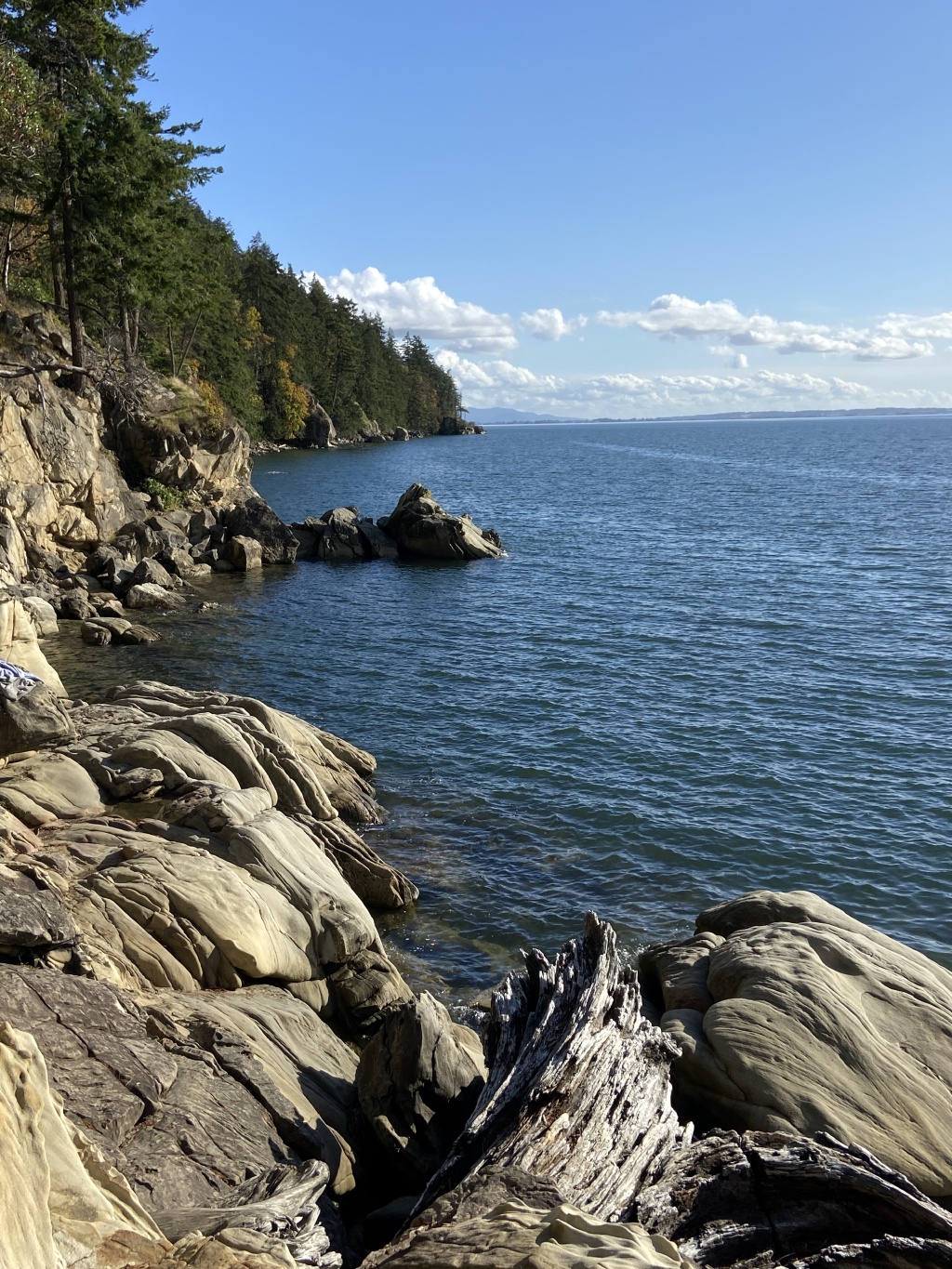 2020/10(October)/Lummi-Island-Kris-Bill-Sager-Washington-State/1024x768_2020-10-12-Lummi-Island-WA-082-Larabee-State-Park.JPG