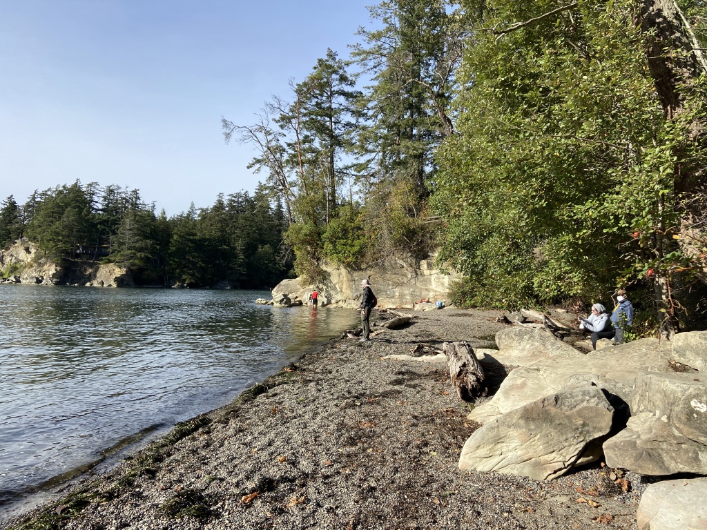 2020/10(October)/Lummi-Island-Kris-Bill-Sager-Washington-State/1024x768_2020-10-12-Lummi-Island-WA-086-Larabee-State-Park-Travis-Kris-Bill.JPG