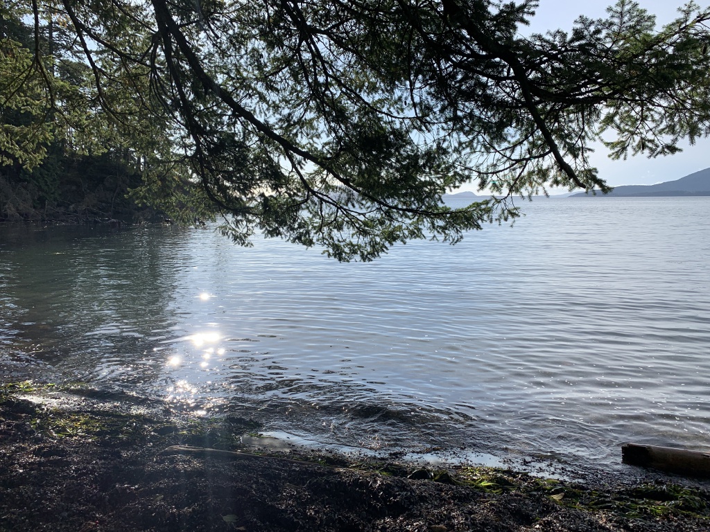 2020/10(October)/Lummi-Island-Kris-Bill-Sager-Washington-State/1024x768_2020-10-12-Lummi-Island-WA-090-Larabee-State-Park.JPG