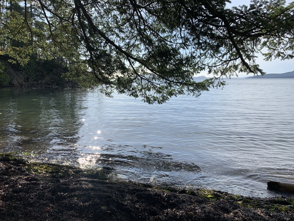 2020-10-12-Lummi-Island-WA-091-Larabee-State-Park.JPG