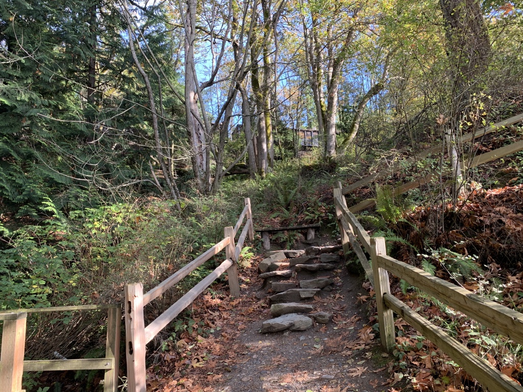 2020-10-12-Lummi-Island-WA-095-Larabee-State-Park.JPG