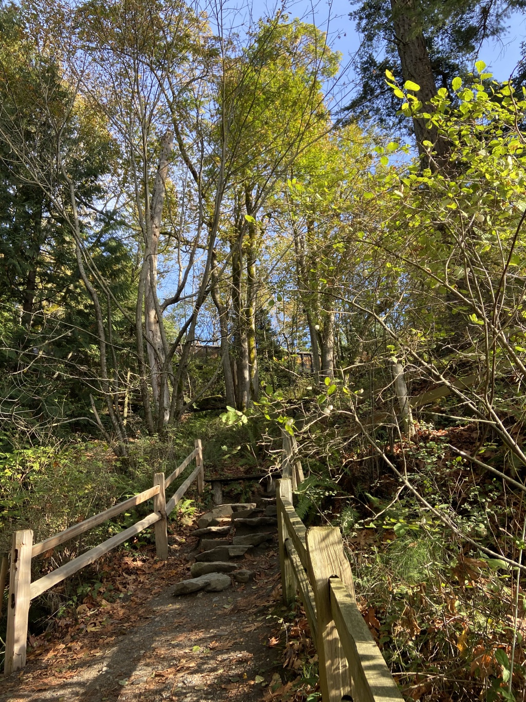 2020-10-12-Lummi-Island-WA-096-Larabee-State-Park.JPG