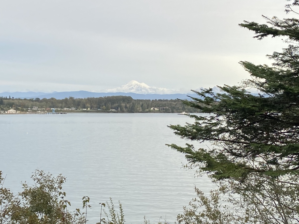 2020/10(October)/Lummi-Island-Kris-Bill-Sager-Washington-State/1024x768_2020-10-12-Lummi-Island-WA-101-Larabee-State-Park.JPG