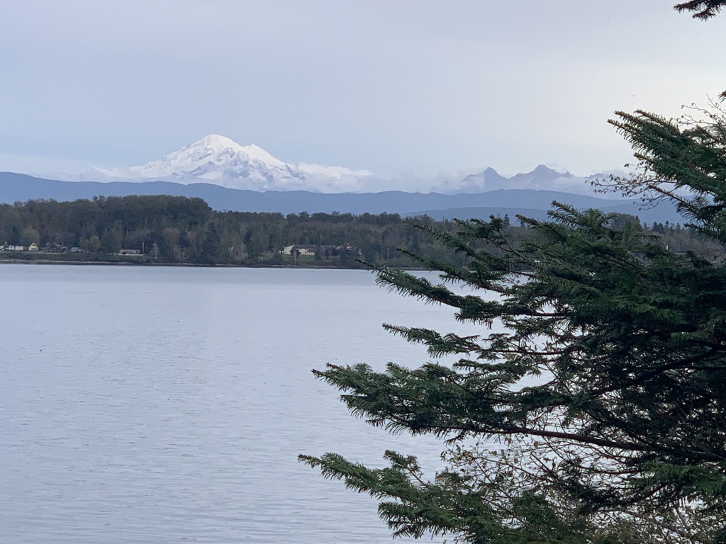 2020/10(October)/Lummi-Island-Kris-Bill-Sager-Washington-State/1024x768_2020-10-12-Lummi-Island-WA-105-Larabee-State-Park.JPG