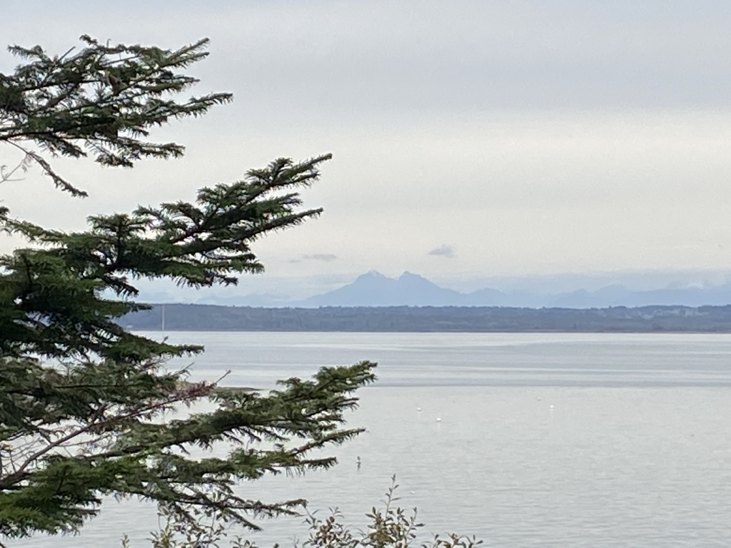 2020/10(October)/Lummi-Island-Kris-Bill-Sager-Washington-State/1024x768_2020-10-12-Lummi-Island-WA-110.JPG