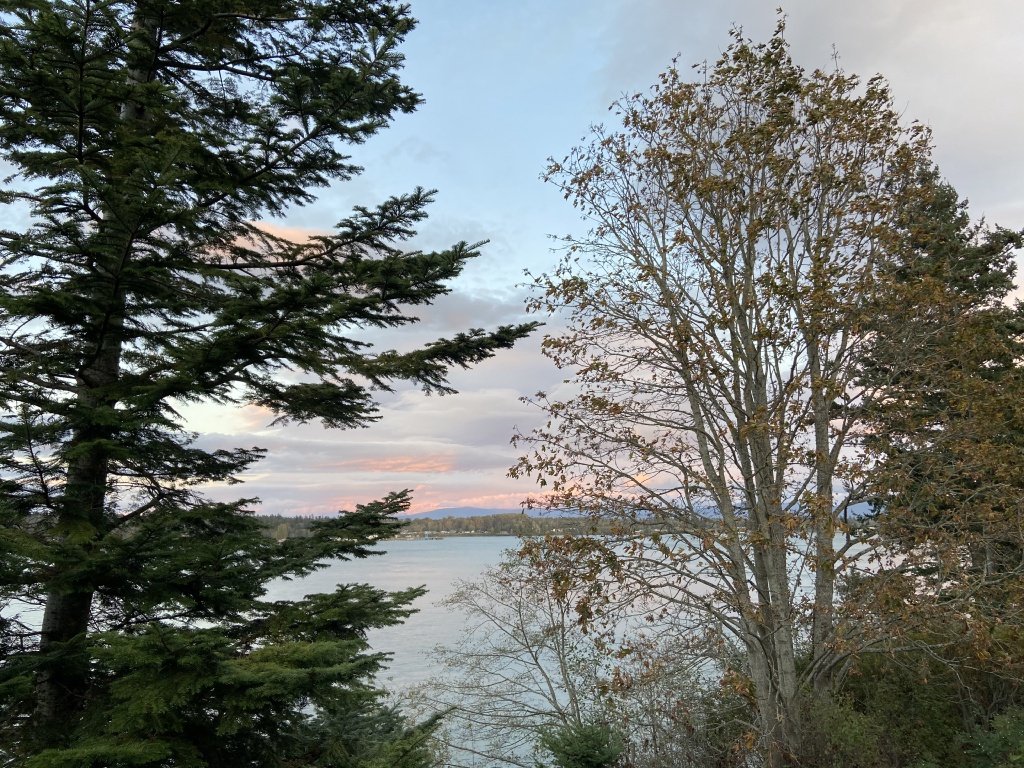 2020/10(October)/Lummi-Island-Kris-Bill-Sager-Washington-State/1024x768_2020-10-13-Lummi-Island-WA-14.JPG