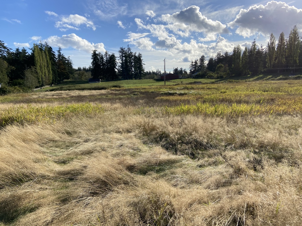 2020/10(October)/Lummi-Island-Kris-Bill-Sager-Washington-State/1024x768_2020-10-14-Lummi-Island-WA-06.JPG