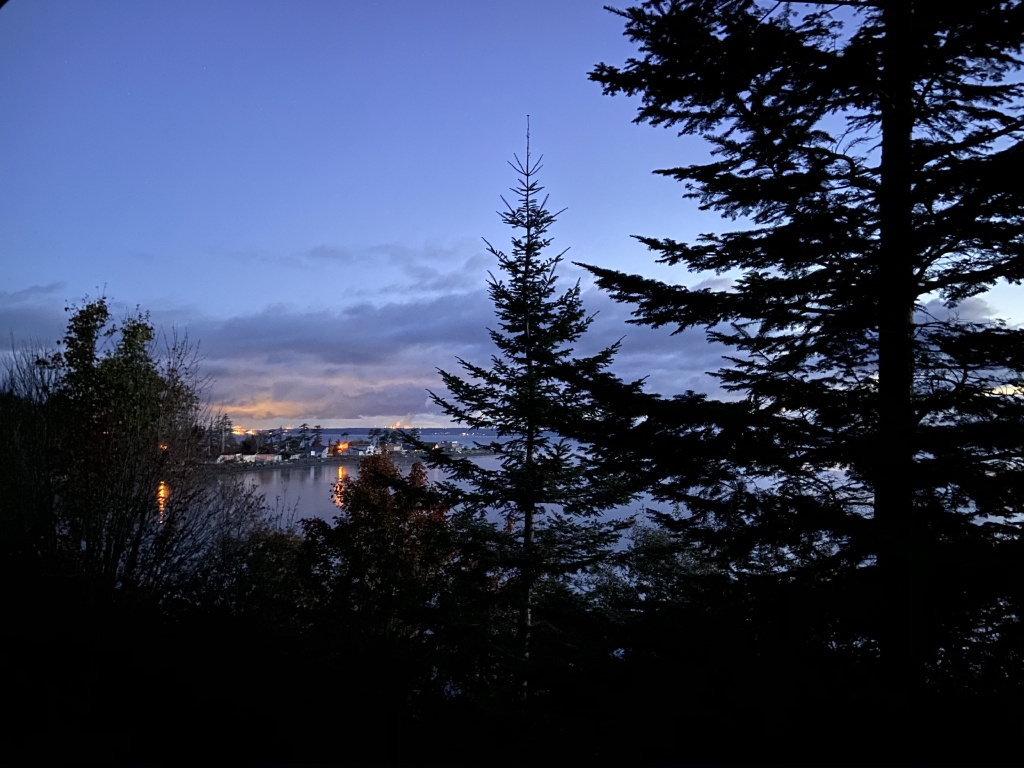 2020/10(October)/Lummi-Island-Kris-Bill-Sager-Washington-State/1024x768_2020-10-15-Lummi-Island-WA-02.JPG
