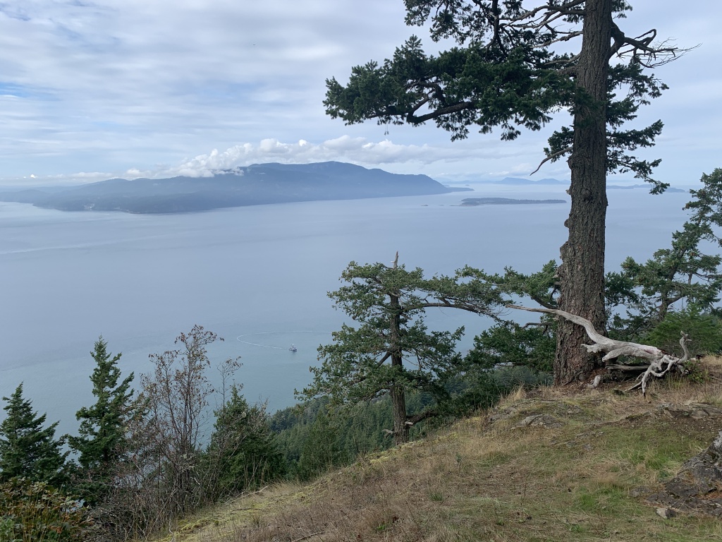 2020/10(October)/Lummi-Island-Kris-Bill-Sager-Washington-State/1024x768_2020-10-15-Lummi-Island-WA-08.JPG