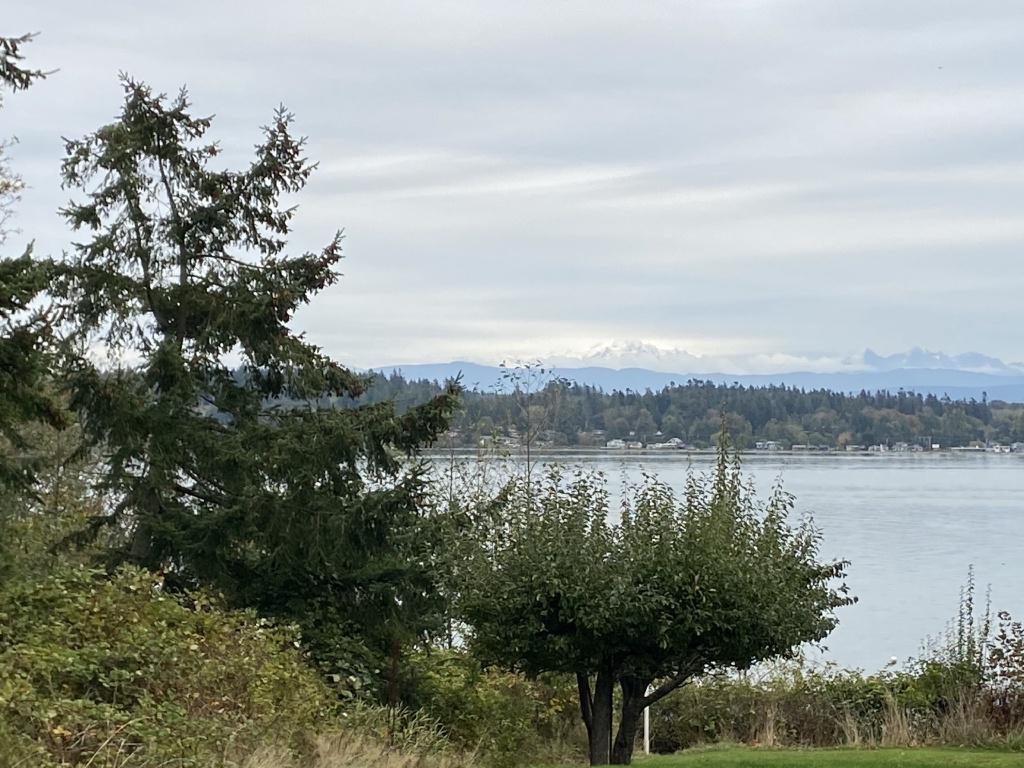 2020/10(October)/Lummi-Island-Kris-Bill-Sager-Washington-State/1024x768_2020-10-15-Lummi-Island-WA-13.JPG
