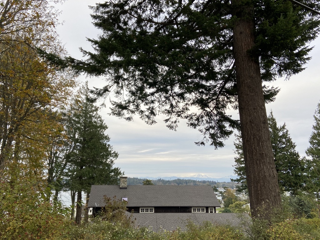 2020/10(October)/Lummi-Island-Kris-Bill-Sager-Washington-State/1024x768_2020-10-15-Lummi-Island-WA-18.JPG