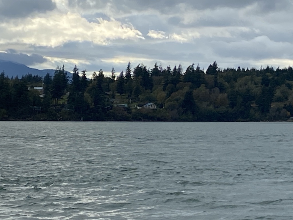 2020/10(October)/Lummi-Island-Kris-Bill-Sager-Washington-State/1024x768_2020-10-16-Lummi-Island-WA-42.JPG