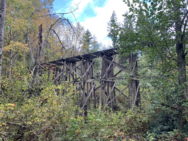 2020/10(October)/Lummi-Island-Kris-Bill-Sager-Washington-State/640x480_2020-10-12-Lummi-Island-WA-013-Whatcom-Falls-Park.JPG