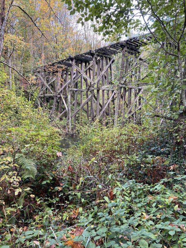 2020/10(October)/Lummi-Island-Kris-Bill-Sager-Washington-State/640x480_2020-10-12-Lummi-Island-WA-014-Whatcom-Falls-Park.JPG