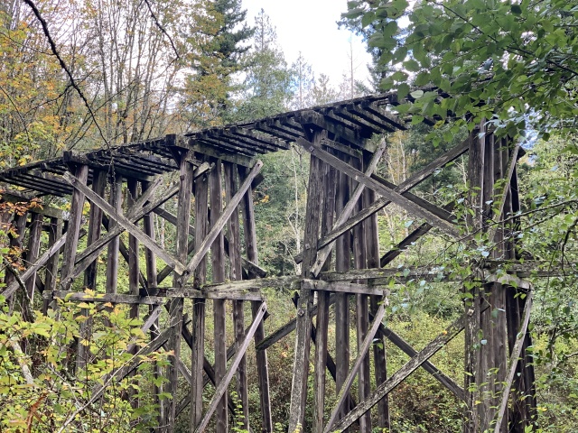 2020/10(October)/Lummi-Island-Kris-Bill-Sager-Washington-State/640x480_2020-10-12-Lummi-Island-WA-015-Whatcom-Falls-Park.JPG