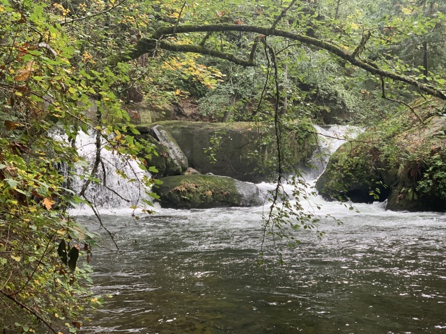 2020/10(October)/Lummi-Island-Kris-Bill-Sager-Washington-State/640x480_2020-10-12-Lummi-Island-WA-039-Whatcom-Falls-Park.JPG