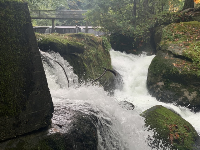2020/10(October)/Lummi-Island-Kris-Bill-Sager-Washington-State/640x480_2020-10-12-Lummi-Island-WA-043-Whatcom-Falls-Park.JPG