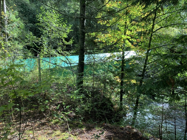 2020/10(October)/Lummi-Island-Kris-Bill-Sager-Washington-State/640x480_2020-10-12-Lummi-Island-WA-054-Whatcom-Falls-Park.JPG
