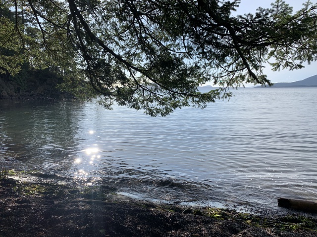 2020-10-12-Lummi-Island-WA-090-Larabee-State-Park.JPG