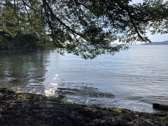 2020-10-12-Lummi-Island-WA-091-Larabee-State-Park.JPG