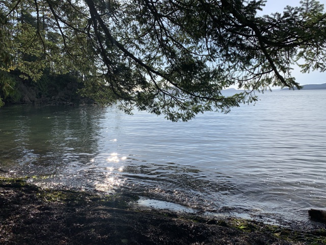 2020-10-12-Lummi-Island-WA-094-Larabee-State-Park.JPG