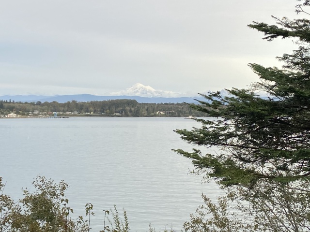 2020-10-12-Lummi-Island-WA-101-Larabee-State-Park.JPG