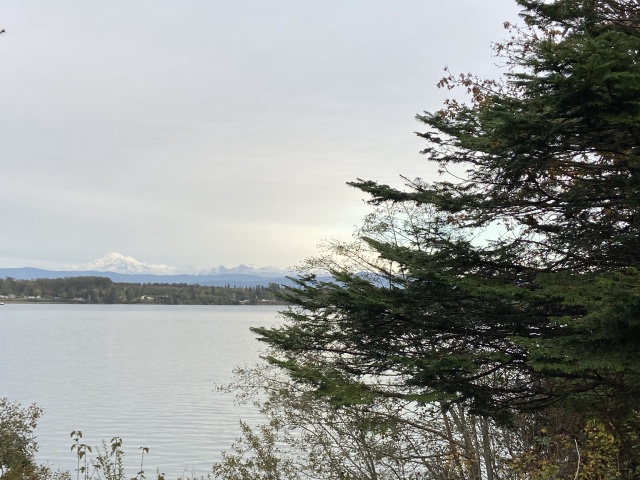 2020/10(October)/Lummi-Island-Kris-Bill-Sager-Washington-State/640x480_2020-10-12-Lummi-Island-WA-103-Larabee-State-Park.JPG
