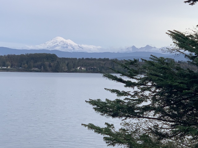 2020-10-12-Lummi-Island-WA-105-Larabee-State-Park.JPG