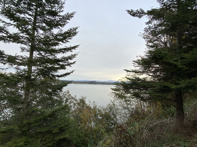 2020/10(October)/Lummi-Island-Kris-Bill-Sager-Washington-State/640x480_2020-10-12-Lummi-Island-WA-108.JPG