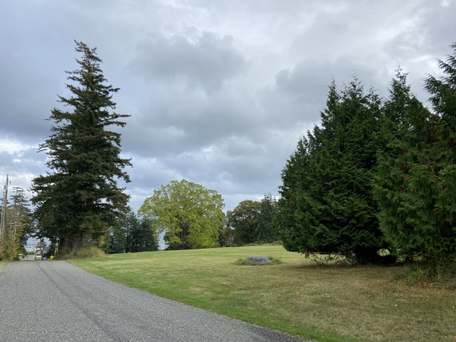 2020-10-13-Lummi-Island-WA-10.JPG